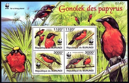 Burundi 2011 mnh wwf - 2011, ss,