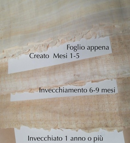 Foglio papiro siracusano - foglio,