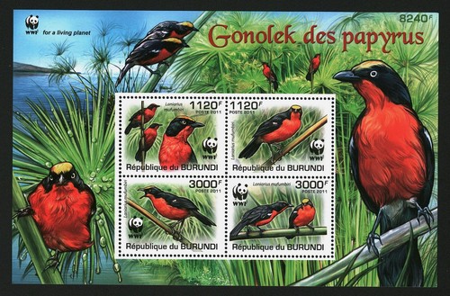Burundi 2011 foglio - 2011,