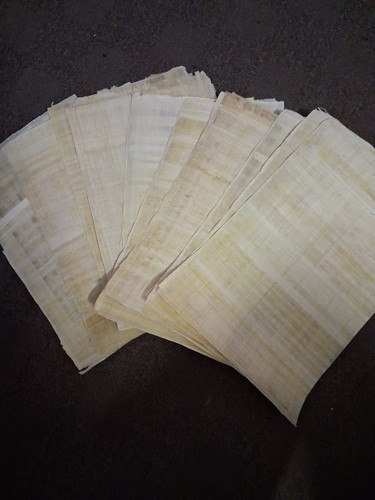 Fogli carta papiro - di,